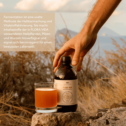Neu: FLORA VIDA - Ferment mit lebenden Mikroorganismen, Kurkuma, Ingwer und Aloe Vera, BIO