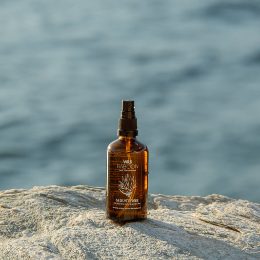 NEW: Gesichtstoner mit Aloe Vera & Gurke – Feuchtigkeit & Schutz
