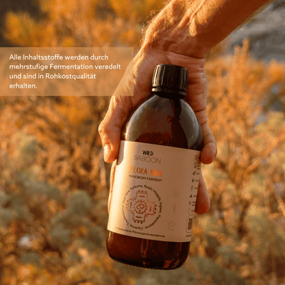 Neu: FLORA VIDA - Ferment mit lebenden Mikroorganismen, Kurkuma, Ingwer und Aloe Vera, BIO