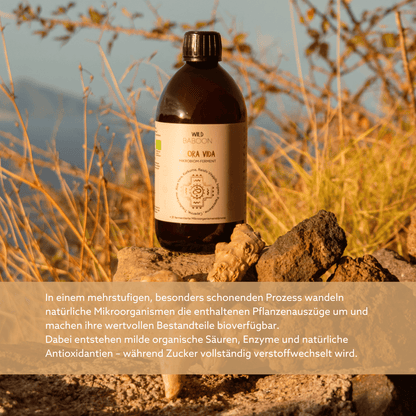 Neu: FLORA VIDA - Ferment mit lebenden Mikroorganismen, Kurkuma, Ingwer und Aloe Vera, BIO