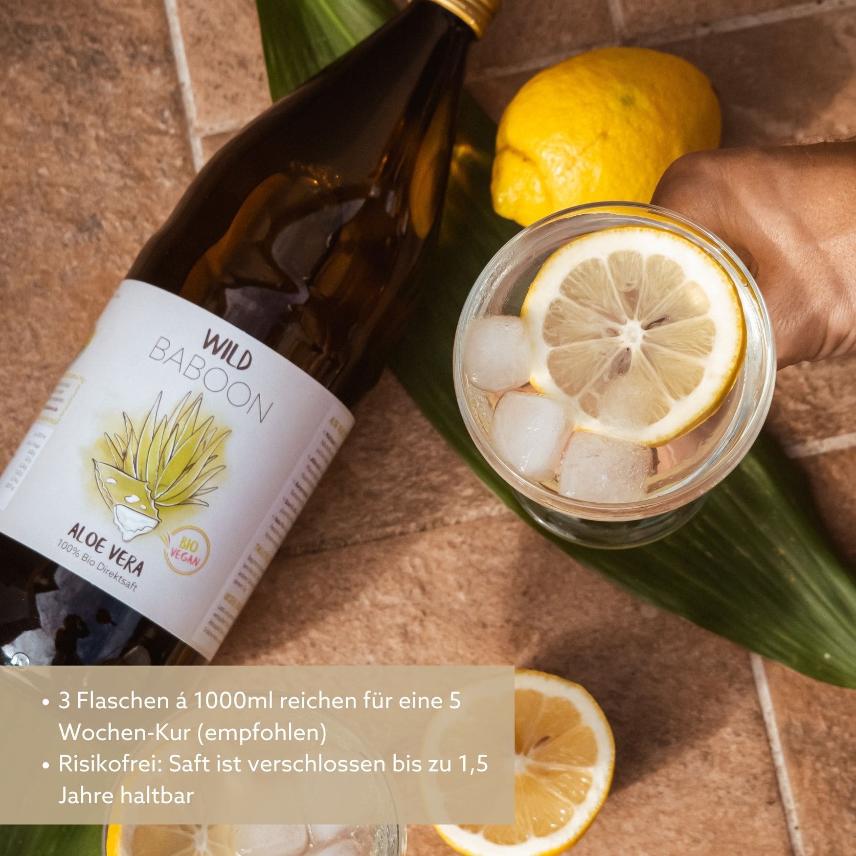 Bio Aloe Vera Direktsaft, keine Rückverdünnung – WILD BABOON