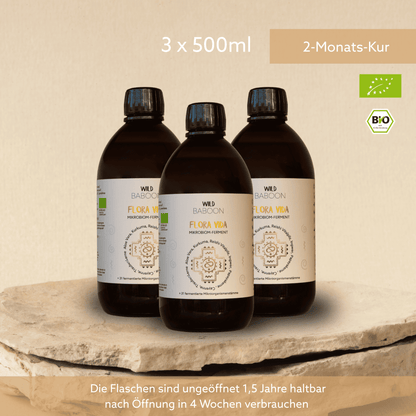 Neu: FLORA VIDA - Ferment mit lebenden Mikroorganismen, Kurkuma, Ingwer und Aloe Vera, BIO