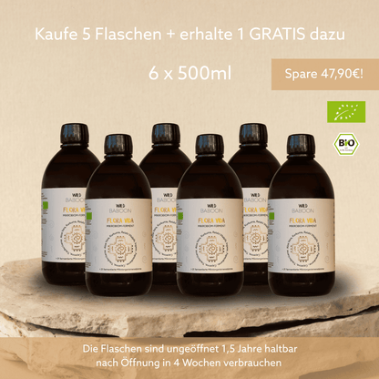 Neu: FLORA VIDA - Ferment mit lebenden Mikroorganismen, Kurkuma, Ingwer und Aloe Vera, BIO