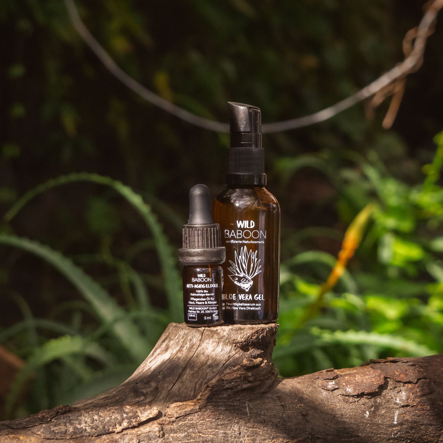 THE GOLDEN RITUAL: Aloe & Cactus