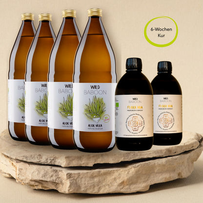 Darmkur FLORA VIDA & Aloe Saft