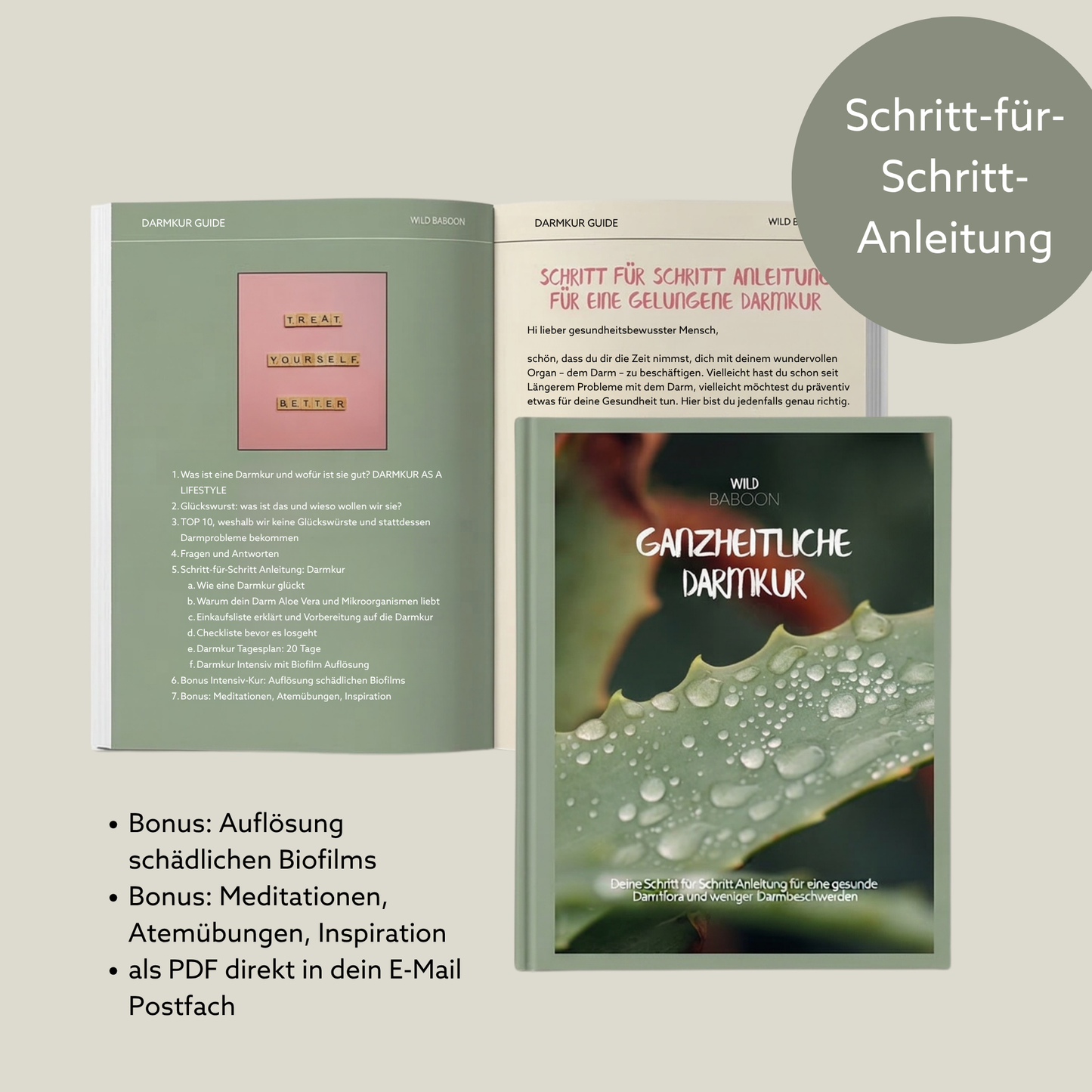 Darmkur FLORA VIDA & Aloe Saft